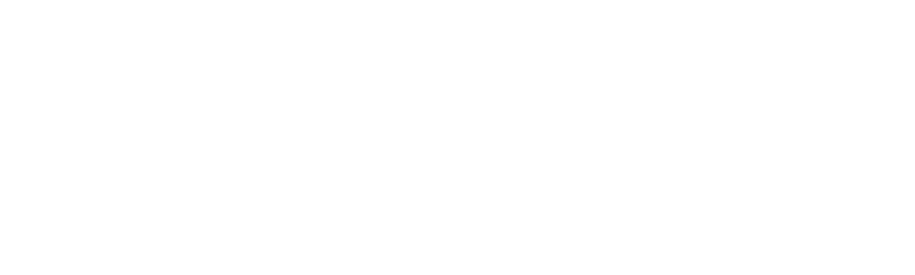 Mason schools foundation logo, white